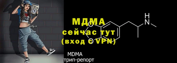 гашик Новозыбков