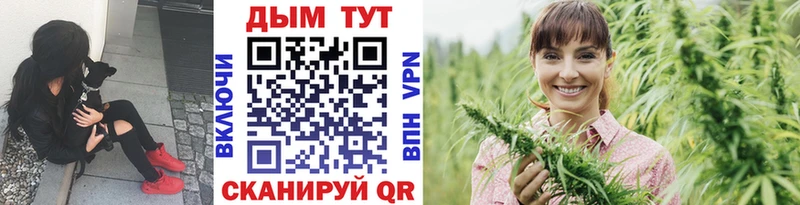 что такое Оха Канабис гибрид